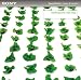 Hydroponic Hip-Hop [Old Version]
