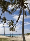 Anakena Beach, Easter Island (Rapa Nui), Chile, South America Photographic Poster Print by Michael Snell, 18x24