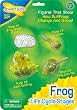 Life Cycle Stages-Frog