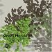 Green Memories