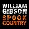 Spook Country