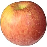 Organic Fuji Apple, Large