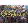 CoExist Subject Poster Print, 36x24