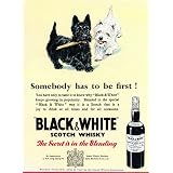 Advertisement for Black & White Scotch Whisky (Print On Demand)