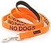 NO DOGS Orange Color Coded Nylon 4 Foot Padded Dog Leash (Not Good with Other Dogs), Prevents Accidents By Warning Others of Your Dog in Advance