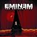 The Eminem Show