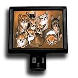IMAGE OF Chihuahuas Premium Decorative Night Light