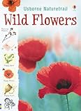 Wild flowers
