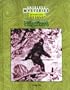 Bigfoot (Unsolved Mysteries: the Secret Files)