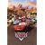 GB eye Ltd, Cars, One Sheet, Maxi Poster, (61x91.5cm) FP1658