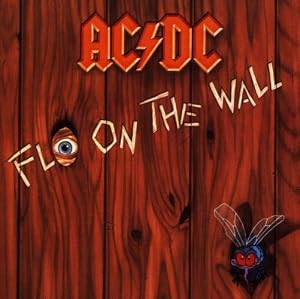 Cover of "Fly on the Wall"