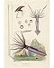 Photographic Print of GIANT SQUID 1837 from Mary Evans