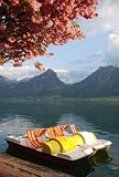 Tretboot Am Wolfgangsee - 24