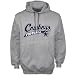 Reebok Dallas Cowboys Ash Sweep Hoody Sweatshirt