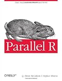 Parallel R Parallel R