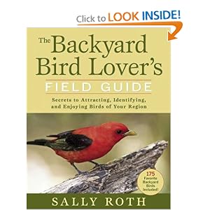Backyard Birds Pennsylvania Identify Attract