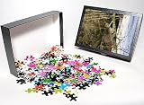 Photo Jigsaw Puzzle of Canadian Lynx from Ardea Wildlife Pets