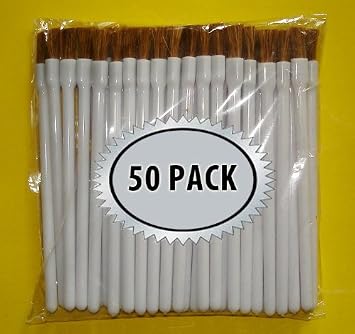 Disposable Paint Brushes