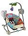 Fisher-Price Space Saver Swing and Seat, Luv U Zoo