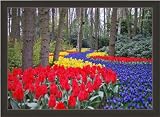 Review ArtToFrames  / 30x40 / 30 x 40 Picture Frame Black W/ Red Edges .. 0.75'' wide