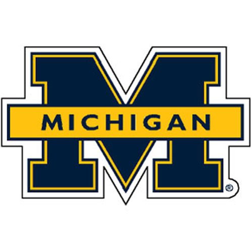 Michigan Wolverines NCAA Precision Cut Magnet