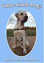Future Guide Dogs