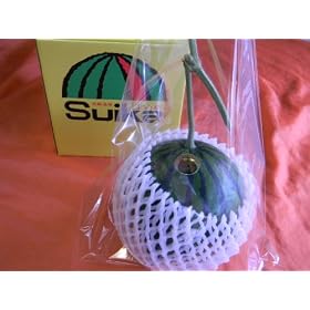 �c���t���I���m�Y�u�n�E�X���Z�v���ϔ���