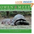 Owen Mzee Story Remarkable Friendship