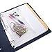 ADVANTUS Zip-All Pocket for Ring Binders, 6 x 9.5 Inches, Frosted, See-Through (ANG51)