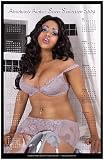 Absolutely Amber Sheer Seduction Calendar