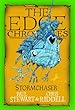 Edge Chronicles: Stormchaser (The Edge Chronicles)
