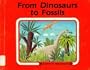 From Dinosaurs to Fossils (Start to Finish Book)