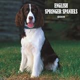 English Springer Spaniels Wall Cale 2009