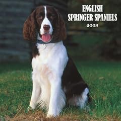 English Springer Spaniels Wall Cale 2009