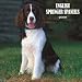 English Springer Spaniels Wall Cale 2009