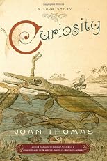 Curiosity