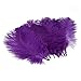 Leegoal Home Decor Purple Ostrich Feathers 10-15cm