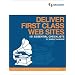 Deliver First Class Web Sites: 101 Essential Checklists