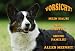 Alle Produkte : Metall - Warnschild Welsh Corgi Cardigan