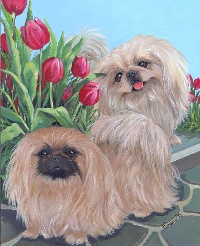 Suzanne Renaud Pekingese and Tulips-GF