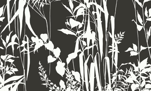 Waverly 5513224 Garden Brown and White Tropical Floral Wallpaper