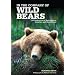 In the Company of Wild Bears: A Celebration of Backcountry Grizzlies and Black Bears