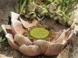 Buy Garden Bird Bath Now 51NwNZBOSUL. SL160 Buy Garden Bird Bath Now