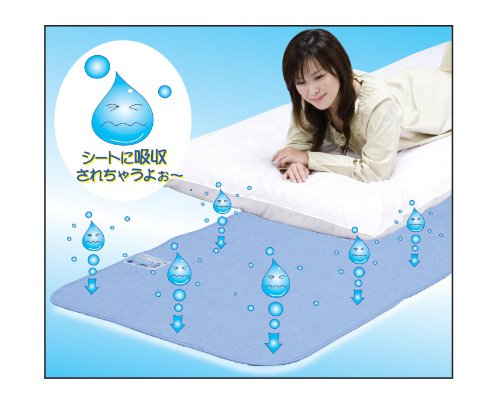 【送料無料】☆世界のTEIJIN社製　結露対策にも♪　【軽い！　さらっと快眠　除湿マット　/　ダブルサイズ】　ジメジメふとんをサラッと快適に♪　天日干しすれば再生可能☆　干す時もラクラク♪