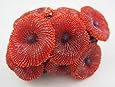 Aquarium Fish Tank Silicone Sea Anemone Artificial Coral Ornament SH217 red