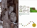 カレンダー2012 動物が見ていた！ 北の森から (Yama-Kei Calendar2012)