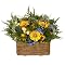 Zinnia Del Sol Wall Basket