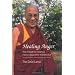 Healing Anger: The Power of Patience from a Buddhist Perspective