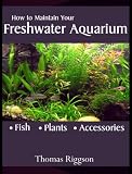 How to Maintain Your Freshwater Aquarium