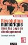 R�volution num�rique dans les pays en d�veloppement - L'exemple africain